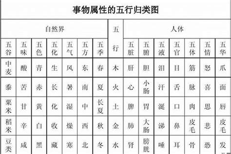 善五行|善字的五行属性